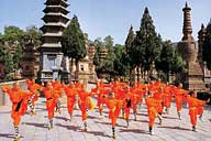 Shaolin Wheel Of Life Monks army